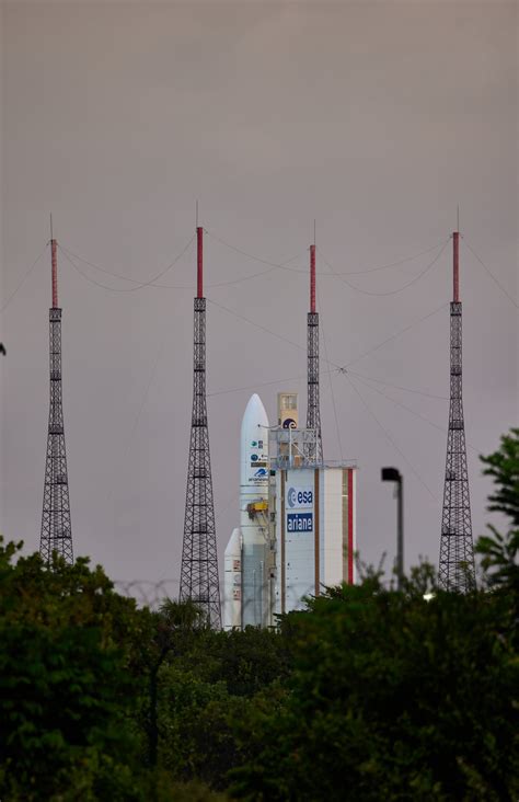 Esa A Peek Through The Forest Of Ariane Carrying Mtg I