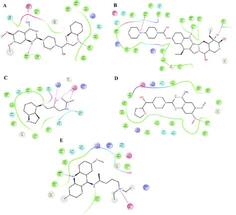 Interactions Of The Complexes Between Egfr And Doxazosin Pindolol