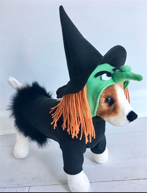 Witch Costume Dog Halloween Costume Dog Witch Costume Pet - Etsy