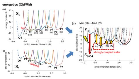 Figure S3 Proton Transfer Potential 3 Of PSII Along The Channel In The