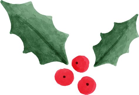 Follaje De Hojas De Navidad Para Decorar 10883291 Png