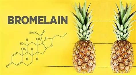What Is Bromelain Good For? - News - Shaanxi Kingsci Biotechnology Co ... 