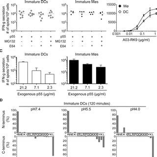 Inhibition Of Proteasomes Increases B57 KF11 And B57 ISW9 Epitope