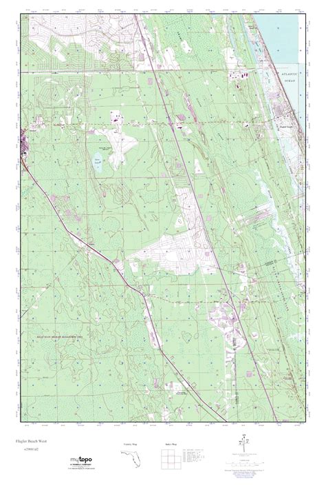 Mytopo Flagler Beach West Florida Usgs Quad Topo Map