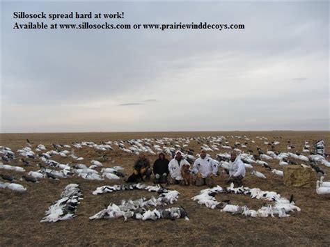 Prairiewind Decoys. **SALE** Snow Goose Decoys by Sillosock Decoys