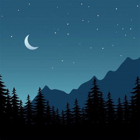 Ilustraci N De Noche De Vector De Bosque Premium Vector Freepik