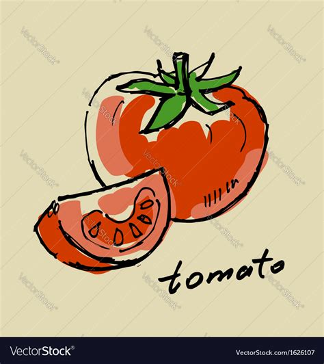 Hand Drawn Tomato Royalty Free Vector Image Vectorstock