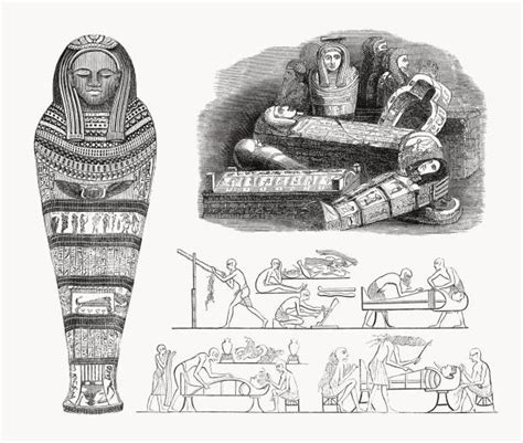 14100 Mummy Stock Illustrations Royalty Free Vector Graphics And Clip