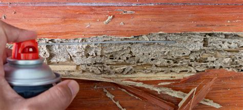 What can I spray on wood to keep termites away? - Security Termite and Pest Control