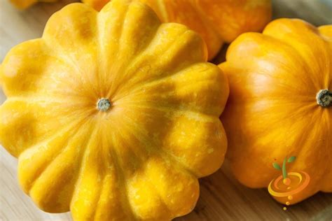 Summer Squash Varieties, Varieties of Summer Squash, Types of Summer Squash