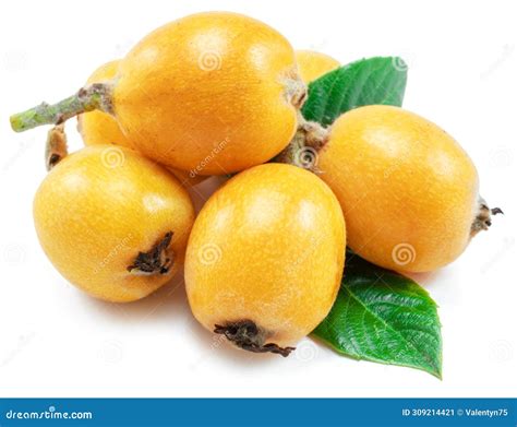 Loquats Fruits With Green Leaves Isolated On White Background Stock