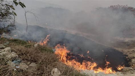 Incendios Forestales Afectan 25 Mil Hectáreas En Guerrero N