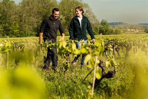 Domaine Ménard Gaborit Vérifiez la disponibilité et les prix