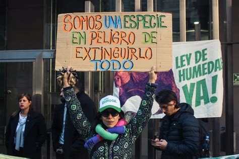 Postergaron Hasta El Jueves El Dictamen De La Ley De Humedales Sintinta