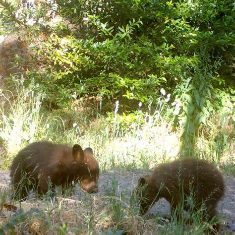 Smart train Sonoma County schedule shifts impact your commute 15