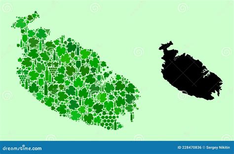 Mapa Do Mosaico Insular De Malta Do Vinho E Das Folhas De Uva