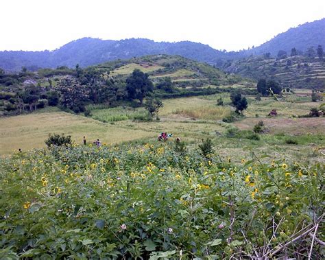 Tamilnadu Tourism: Javadi Hills – Trekking