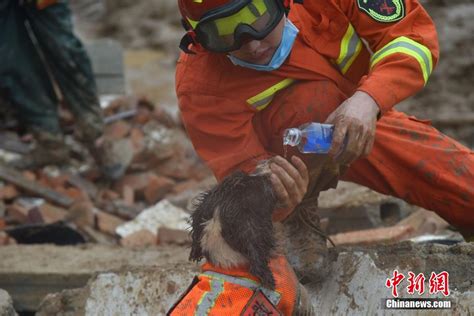 直击湖北黄梅一村庄山体滑坡搜救现场