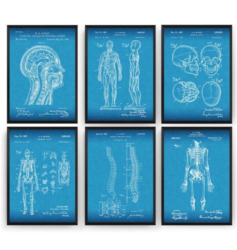 Anatomy Set Of 6 Patent Prints Office Decor Anatomical Muscle Poster Clinic Wall Art Medical