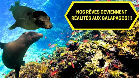 45 NOS RÊVES DEVIENNENT RÉALITÉS AUX GALAPAGOS UN RÊVE EVEILLÉ