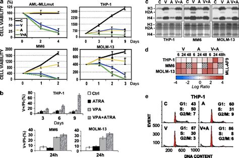 Valproic Acid Vpa Induces Cell Growth Inhibition G Cell Cycle