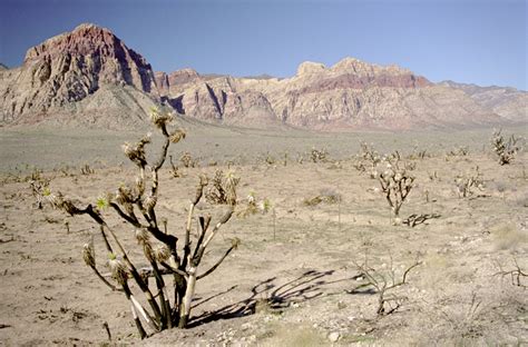 Nevada Desert Photograph