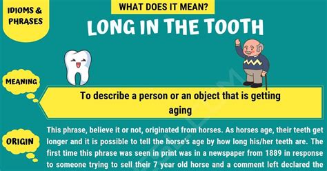 long   tooth long   tooth meaning   examples esl