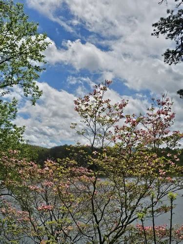 Best Hikes and Trails in Lake Junaluska | AllTrails