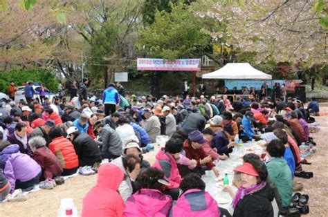 부산 남구 대연2동 천지봉 산악회 우룡산 벚꽃 경로잔치 개최 부울경뉴스