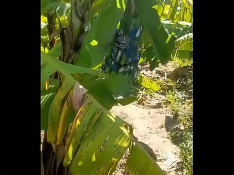 Me Follo A Mi Amiga En El Campo XVIDEOS