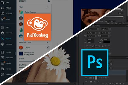 Canva Vs Photoshop Differences Every Designer Must Know