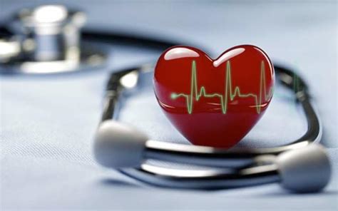 Топ-10 интересных фактов о нашем сердце - Шлях Перамогі