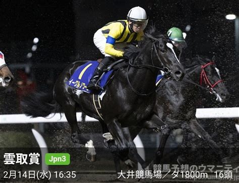 Jpng3雲取賞🏇jar交流重賞🐎2月14日大井競馬場𓃗｜ボヘミアン⚾カープatelier Capricorn🐎