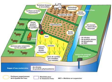 Agriculture Biologique USAN