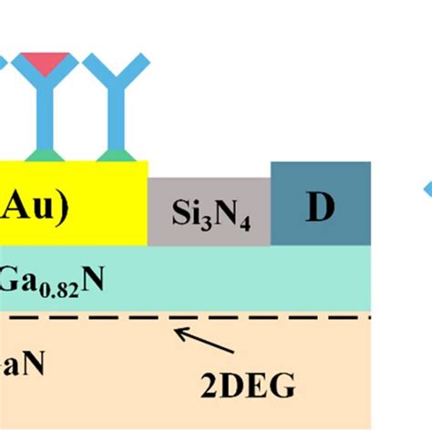 a Omega 2theta XRD curve of AlGaN 002 plane b 5 5 μm2 AFM image of