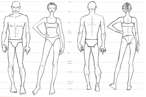 Proporções Do Corpo Humano Base De Desenho ~ Blog Do Aluno Evolutime