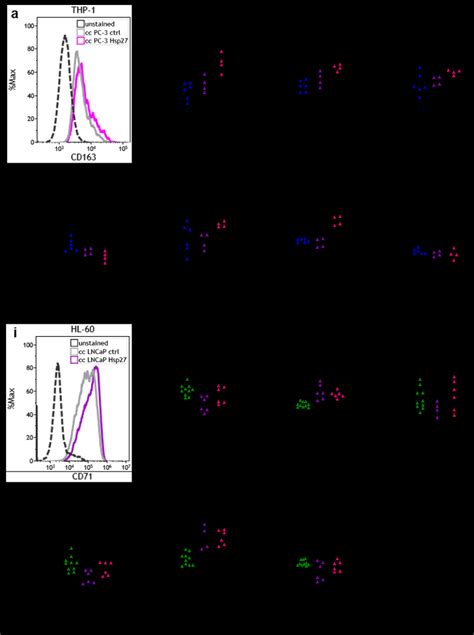 Hsp27 Modified Surface Marker Expression On Myeloid Prostate Cancer