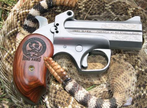 Bond Arms Taurus Judge Vs Bond Arms Snake Slayer Gunhunter Magazine