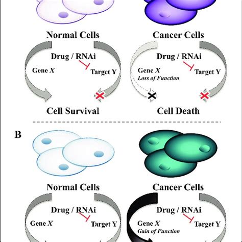 An Overview Of The CRISPR Approach For Synthetic Lethality Screens