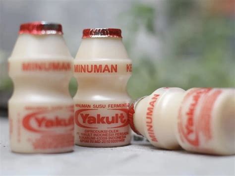 Manfaat Yakult Untuk Pencernaan Dan Daya Tahan Tubuh