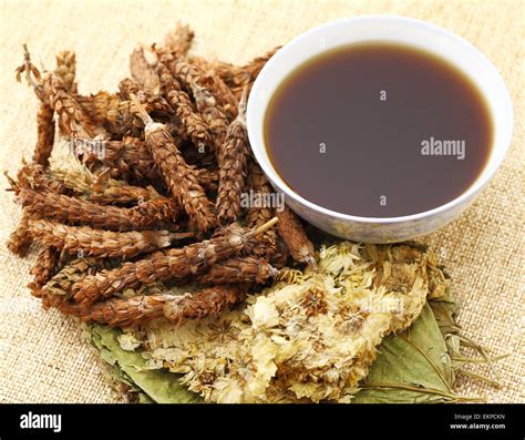 Chinese herbal medicine with ingredient Stock Photo - Alamy