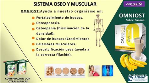 Omniost Omnilife Osteoporosis YouTube