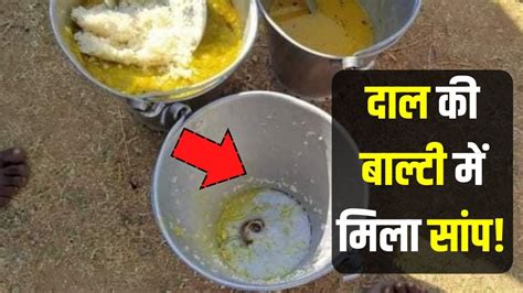 Mid Day Meal में मिला मरा हुआ सांप 30 छात्र बीमार अभिभावकों ने किया