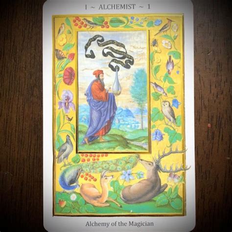 Bộ Bài Splendor Solis Tarot - Huyền Học Từ Thuật Giả Kim