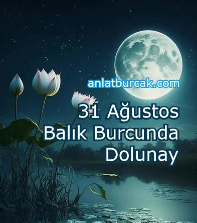 A Ustos Bal K Burcunda Dolunay Anlat Bur Ak