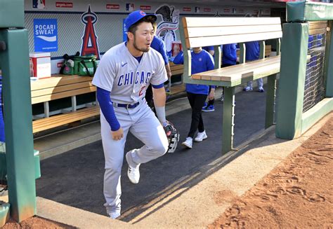 鈴木誠也があこがれのトラウトと初対面「かっこよかった」も会話はあまりできず「シャイなんで」 スポーツ報知