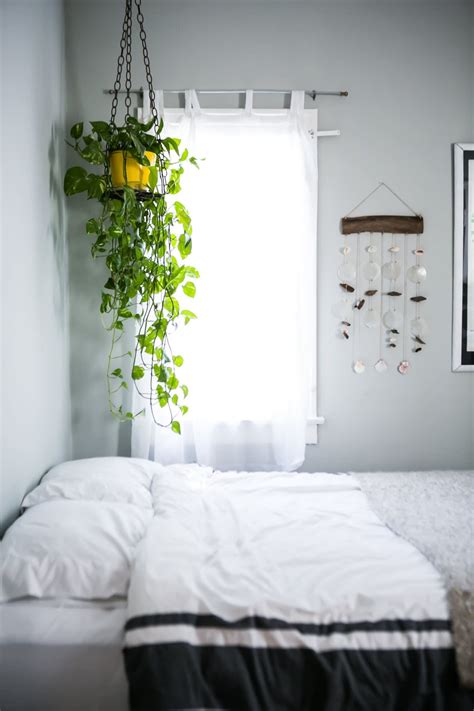 Hanging Plants In Bedroom Ideas - homes of heaven