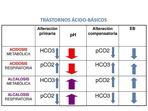 PH ACIDOSIS ALCALOSIS METABÓLICA Y RESPIRATORIA ppt descargar