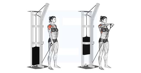 Cable One Arm Front Raise - Guide, Benefits, and Form