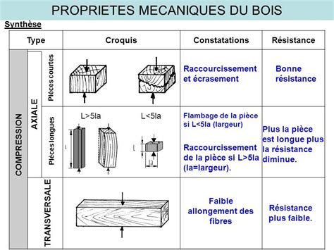 Proprietes Mecaniques Du Bois Introduction La M Canique Est Par